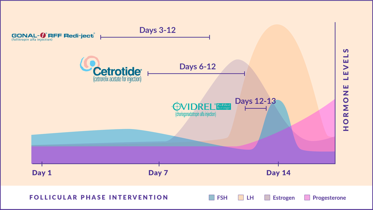 follicular-phase-intervention